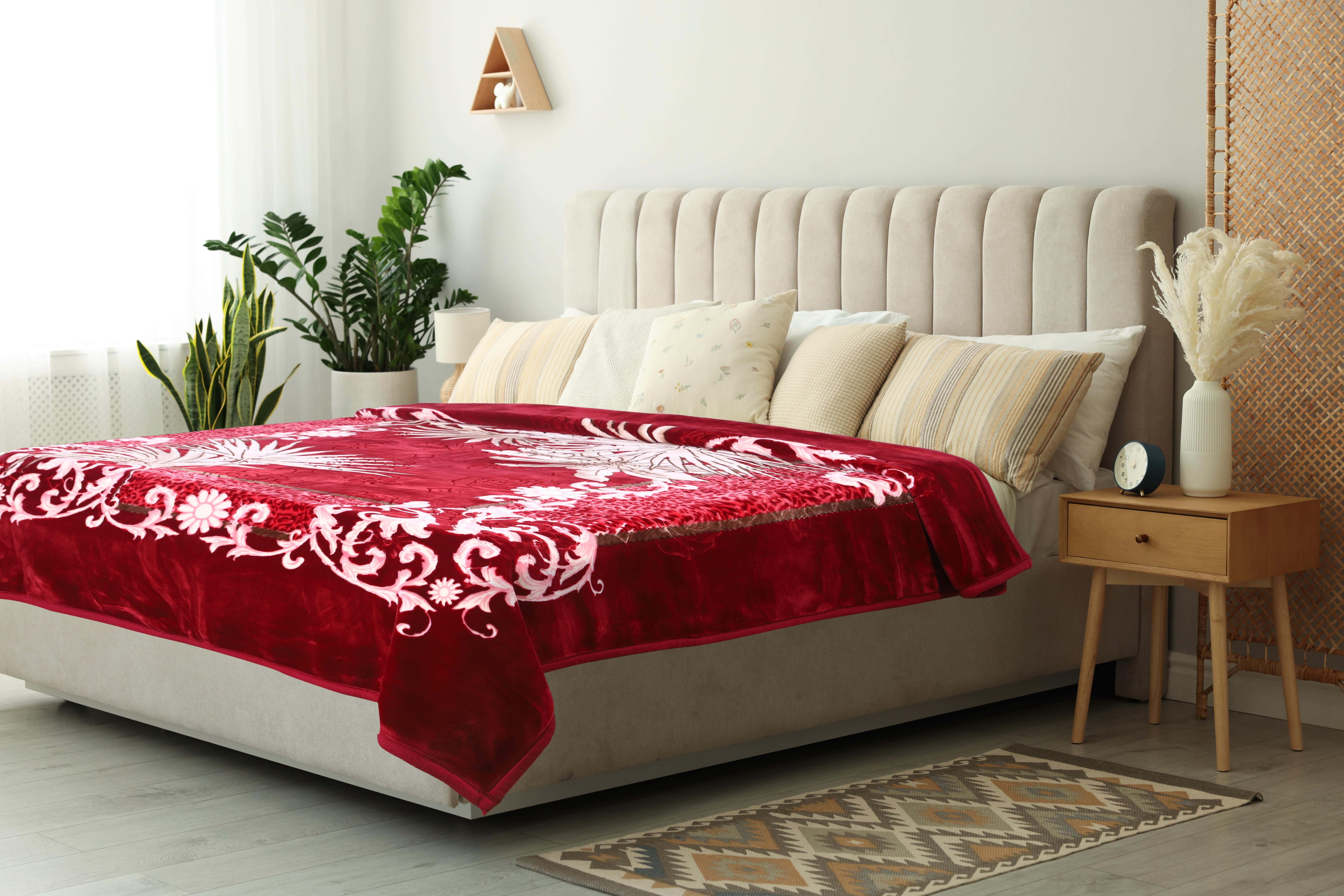 Aslan Velvet Double Layer Blanket, 220x240 cm, 8 kg - Red