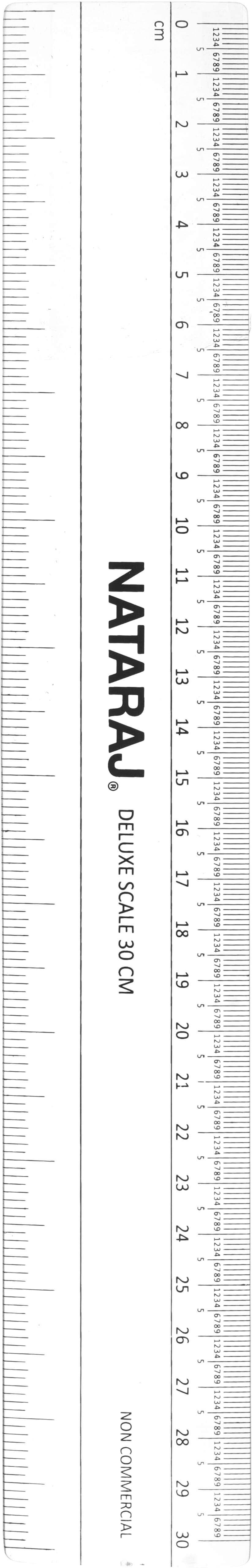 Nataraj Plastic Ruler, 30 cm - Clear