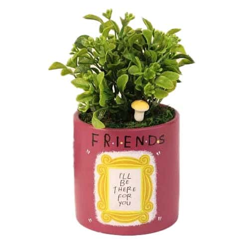 Pottery Plants Pot, 10×18 cm - Maroon