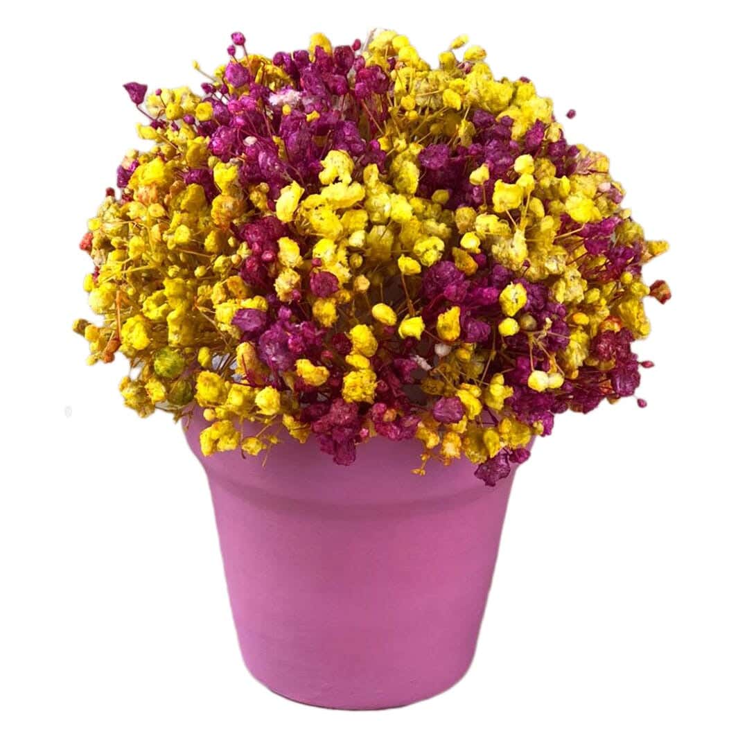 Pottery Flowers Pot, 8×9 cm - Pink