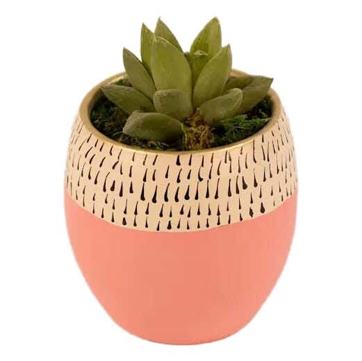 Pottery Natural Cactus Pot, 10×14 cm - Pink
