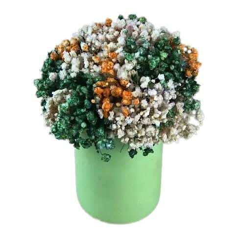 Pottery Flowers Pot, 8×10 cm - Green