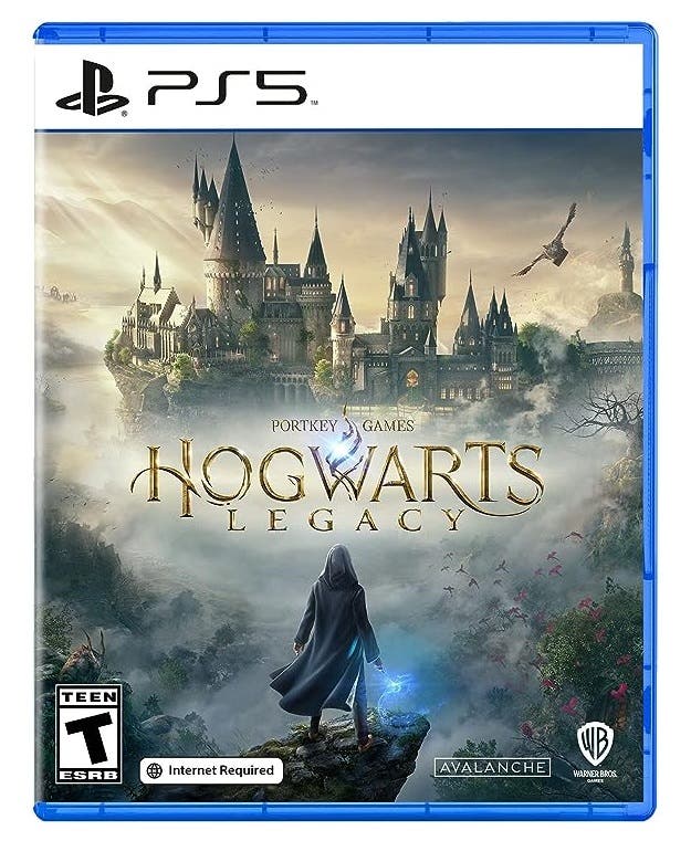 Hogwarts Legacy Game Compatible with PlayStation 5 Control