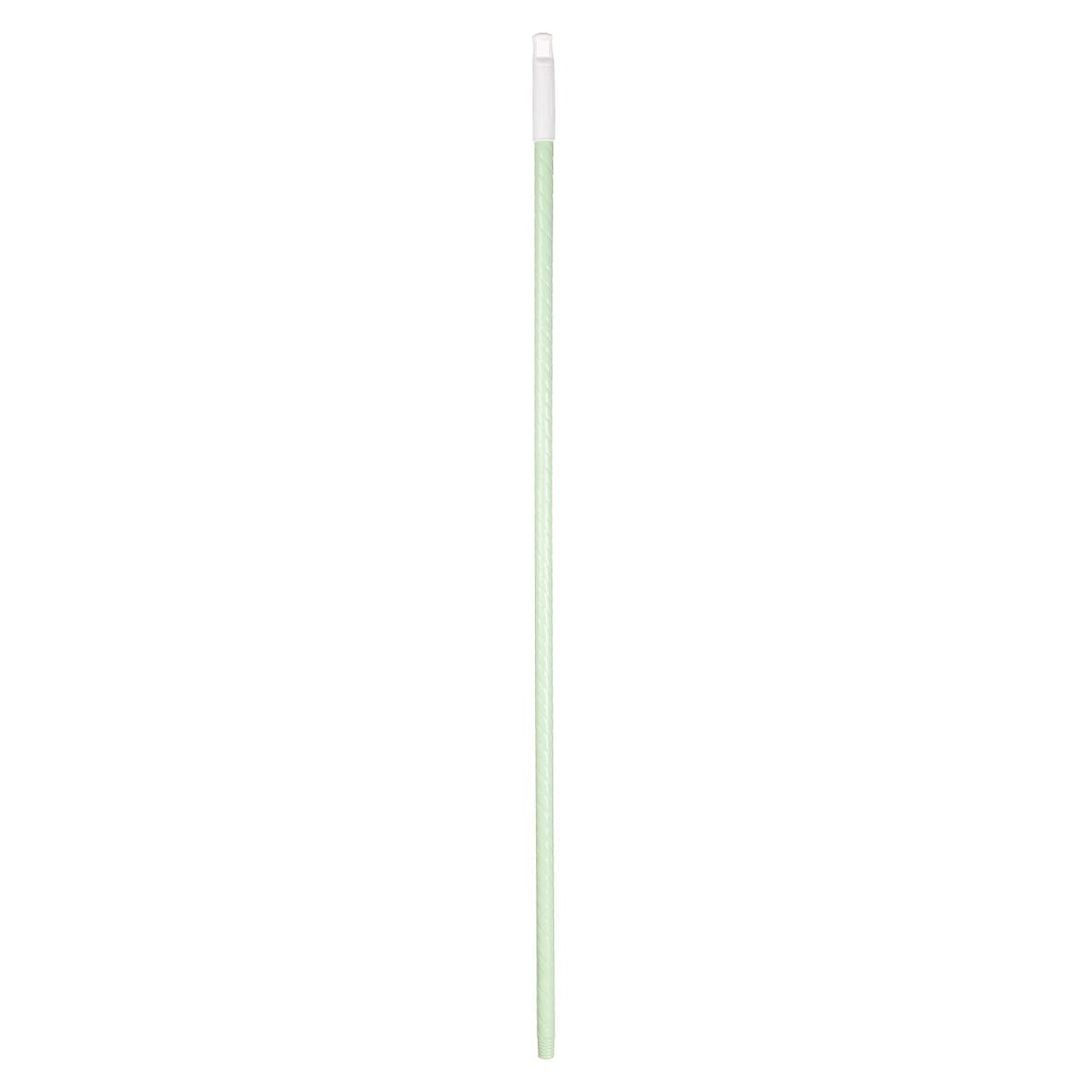 Rienamora Metal Broom Handle, 120cm- Light Green