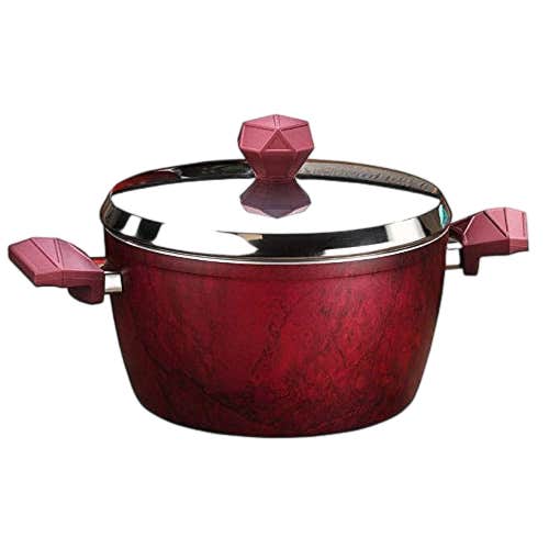 Nouval Designo Teflon Pot with Aluminum Lid , Size 28 - Red