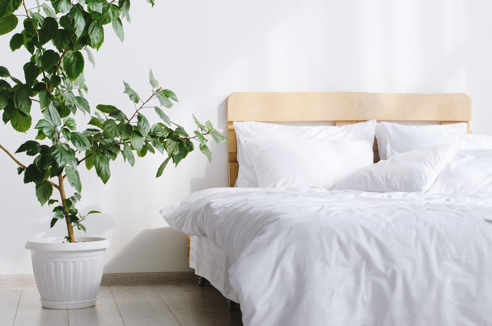 Bed N Home Cotton Duvet Cover Set, 240×260 cm - White
