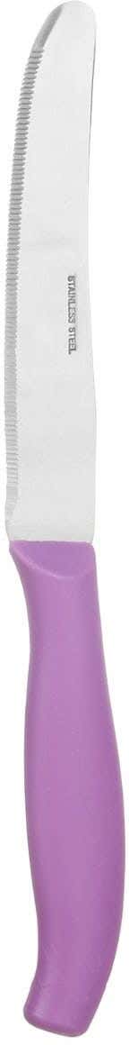 Alex Metal Stainless Steel Knife, 3.5 inch - Mauve Silver