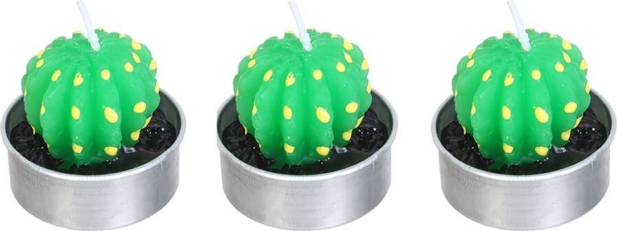 Scented Candle Set with Cactus Base, 2 Pieces - Green