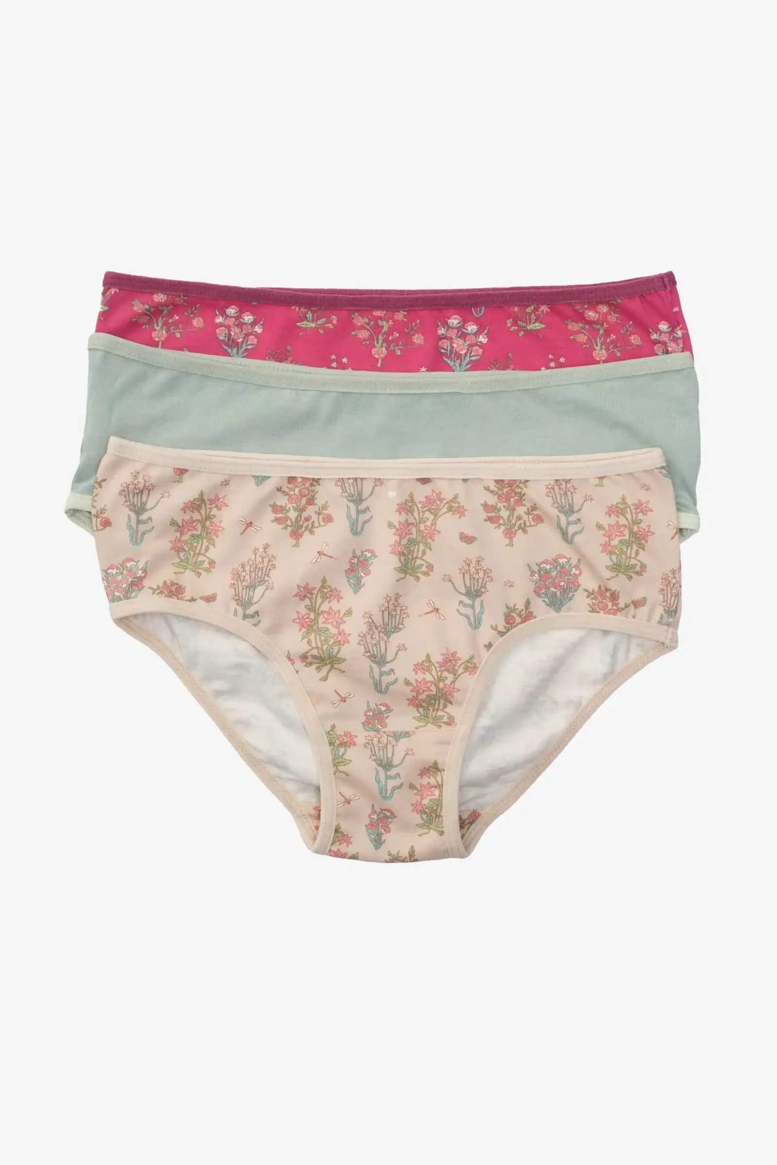 Carinawear Colored Cotton Brief Panties, Pack of 3, Comfortable Everyday Underwear