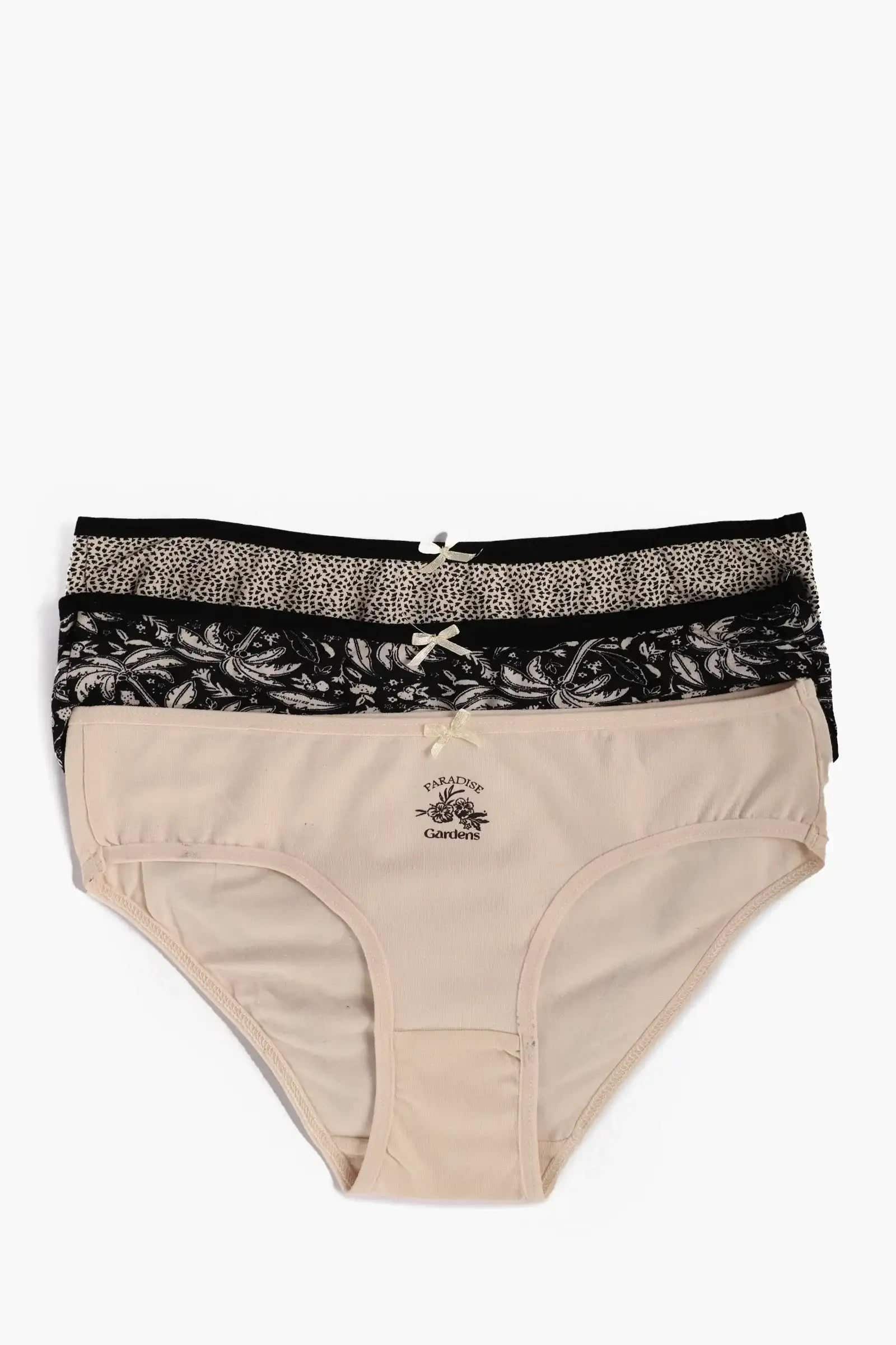 Pack of 3 Colored Bikini Panties