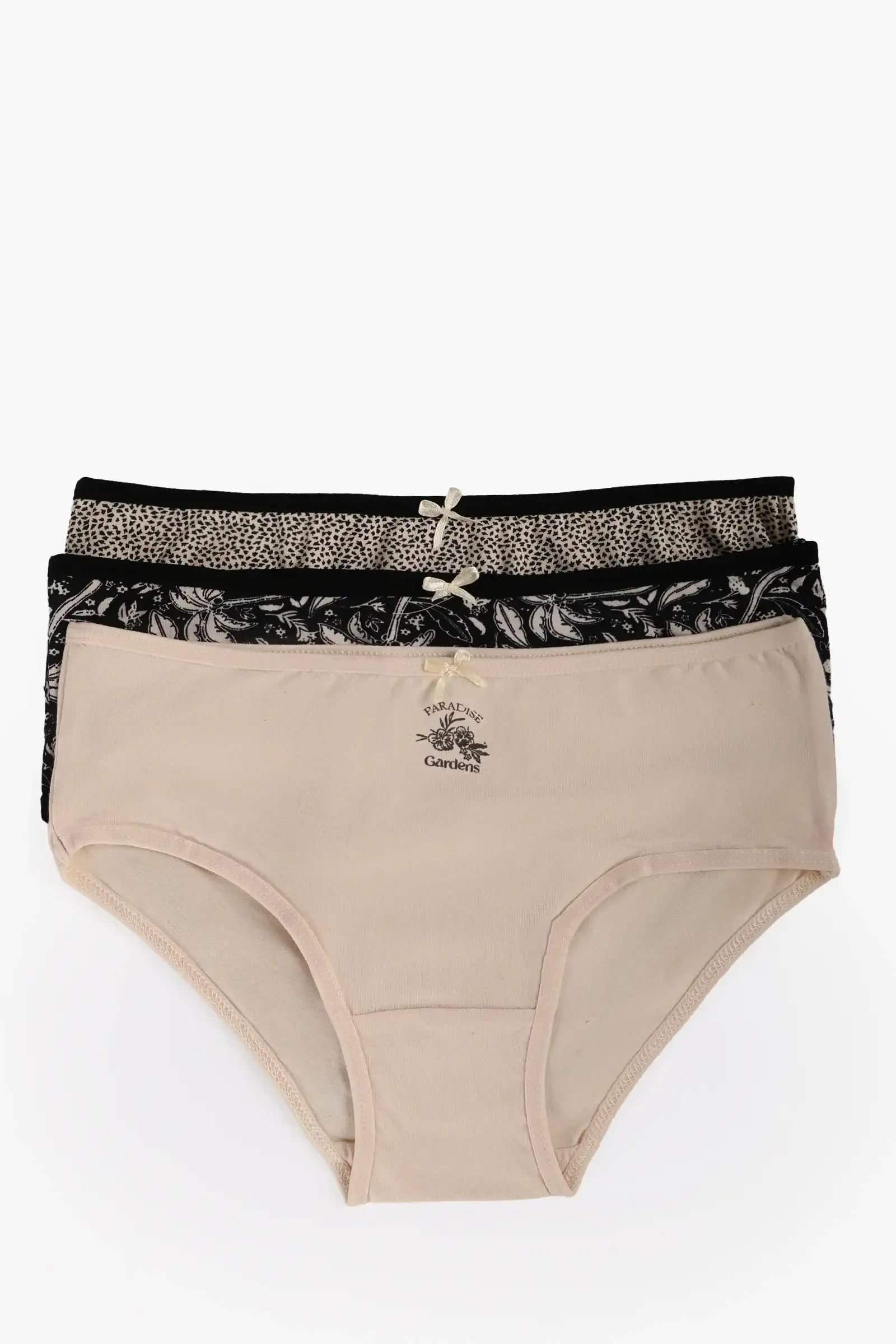 Pack of 3 Colored Brief Panties