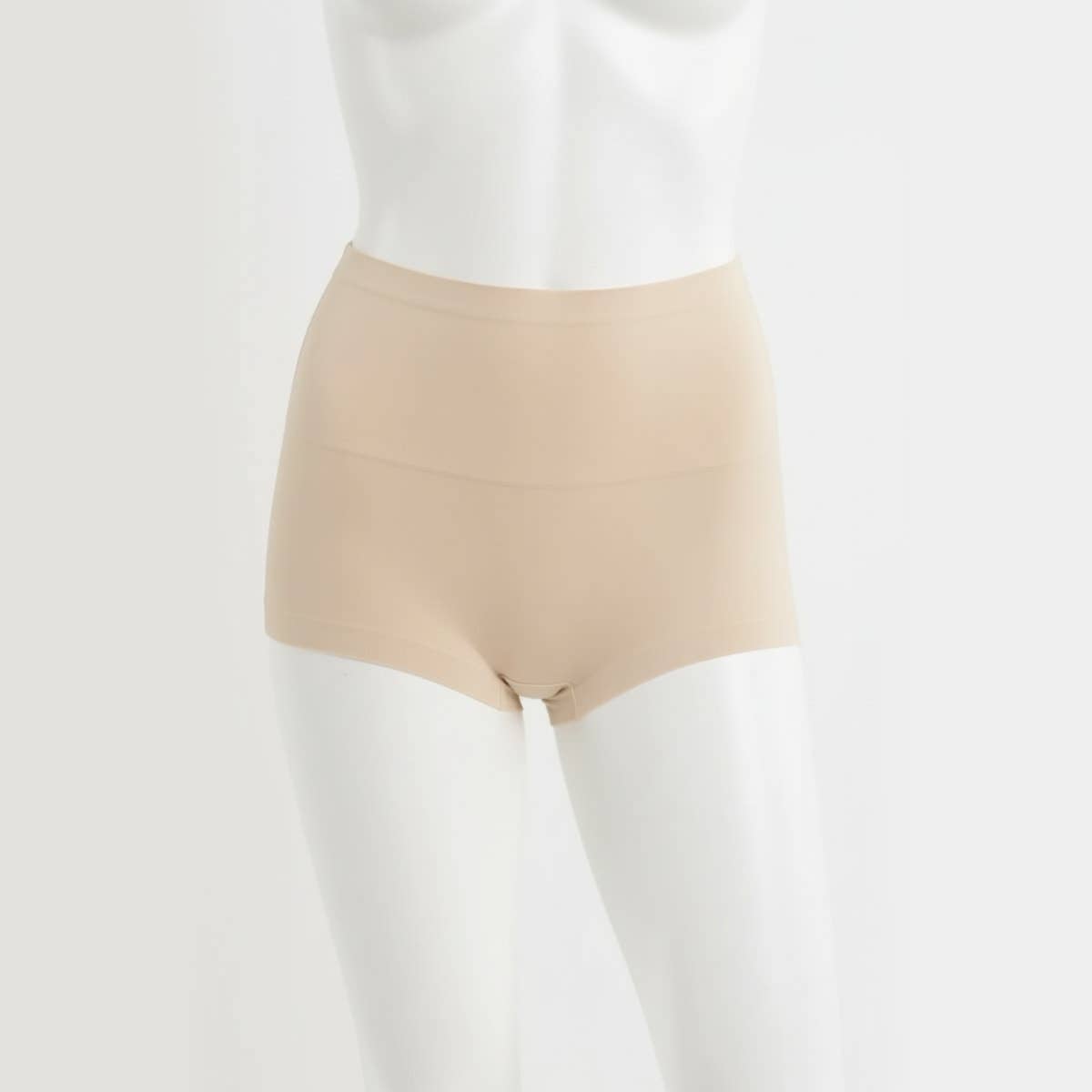 Carinawear Laser Cut Full Brief Corset - High Waist Shapewear