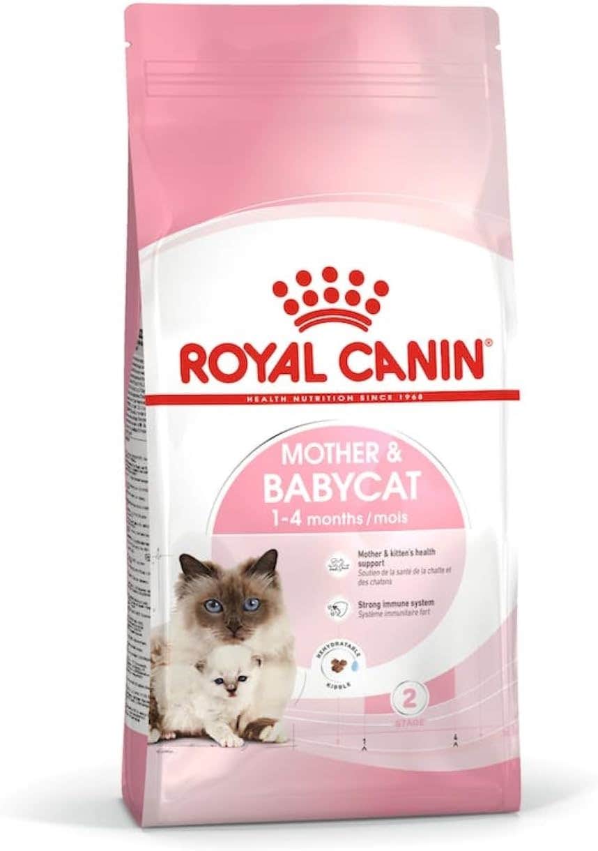 Royal Canin BabyCat Dry Cat Food - 400g Bag | Immune & Digestive Support
