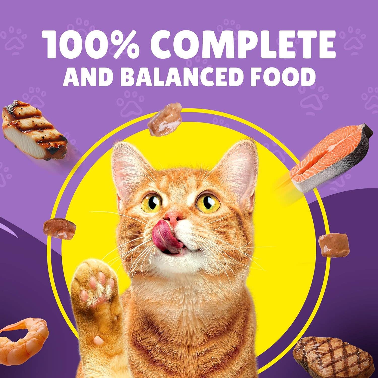 Purina Friskies Beef Chunks in Gravy Wet Cat Food Pouch - 26-Pack, 85g Ea