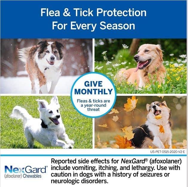 NexGard Chewable Tablet for Large Dogs (25-50 kg) - Fast-Acting Flea & Tick Protection, Beef-Flavored