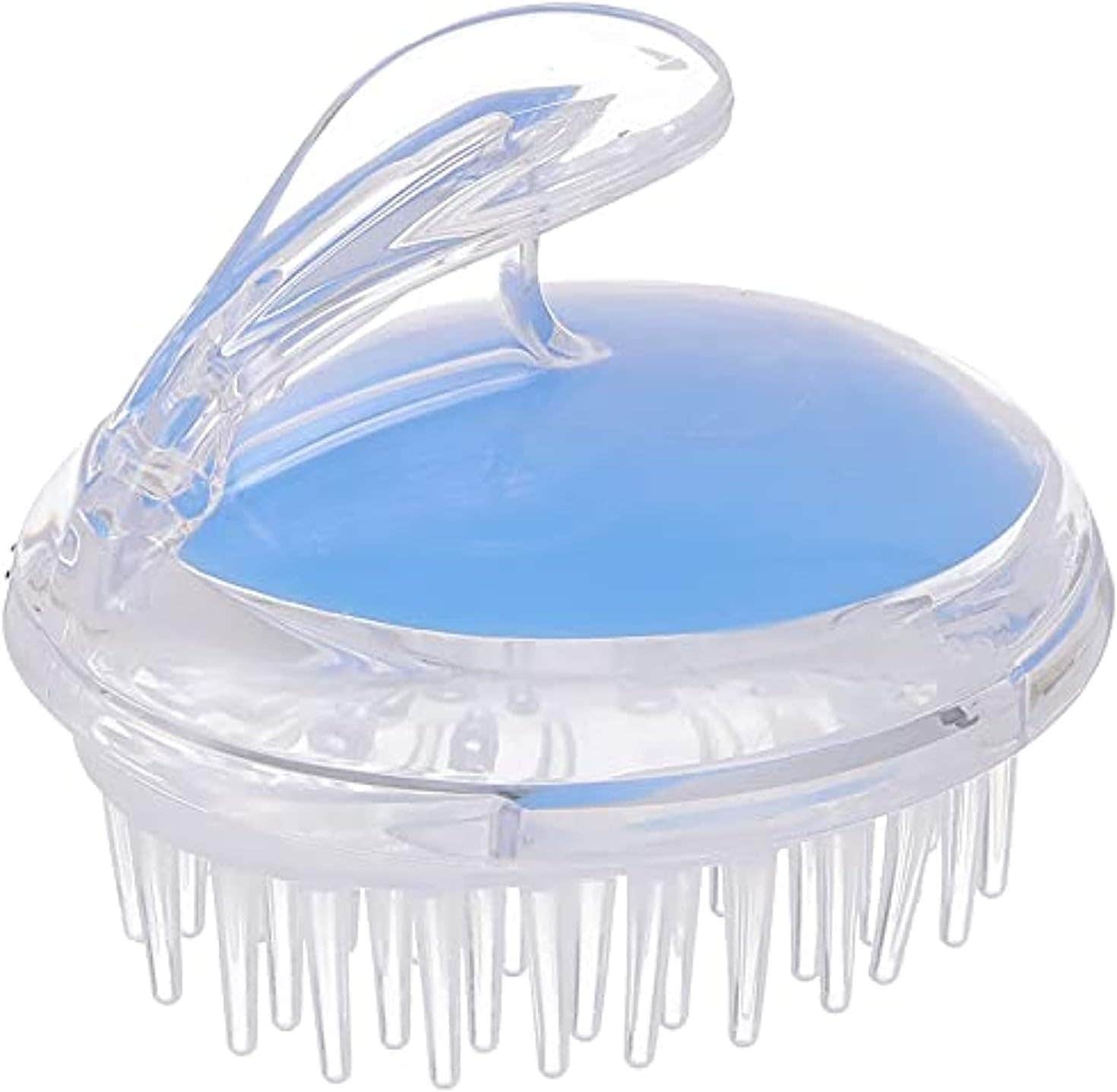 Ever Beauty Plastic Detangling Hair Brush - Clear and Blue , 2725609414390