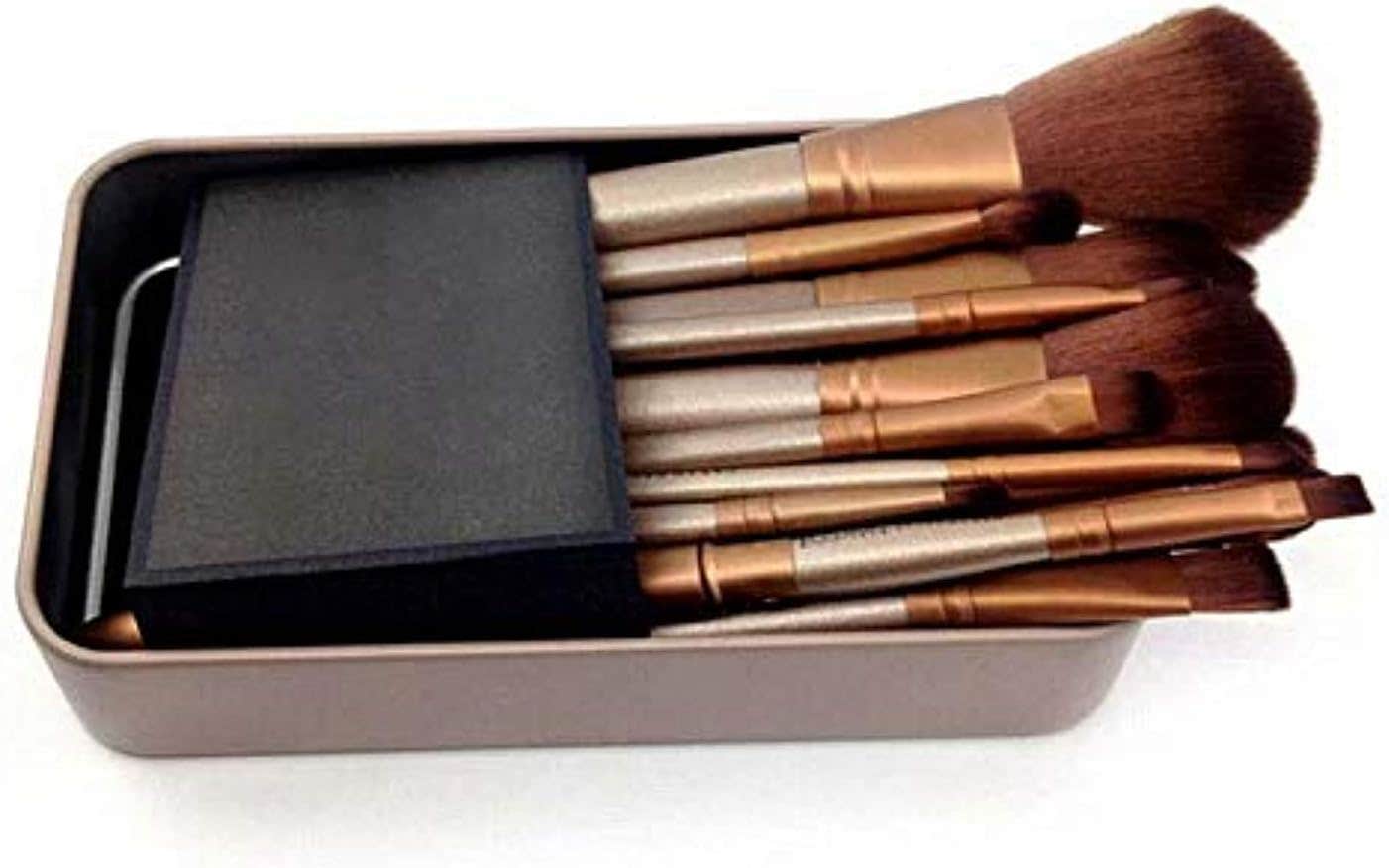 Makeup Goat Hair Brushes Set Kit (12 Pieces)