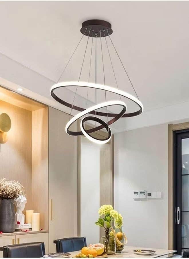 "Modern Hanging Chandelier LED Ring Ceiling Light Fixture Space Decor" (Mshkah Lighting)