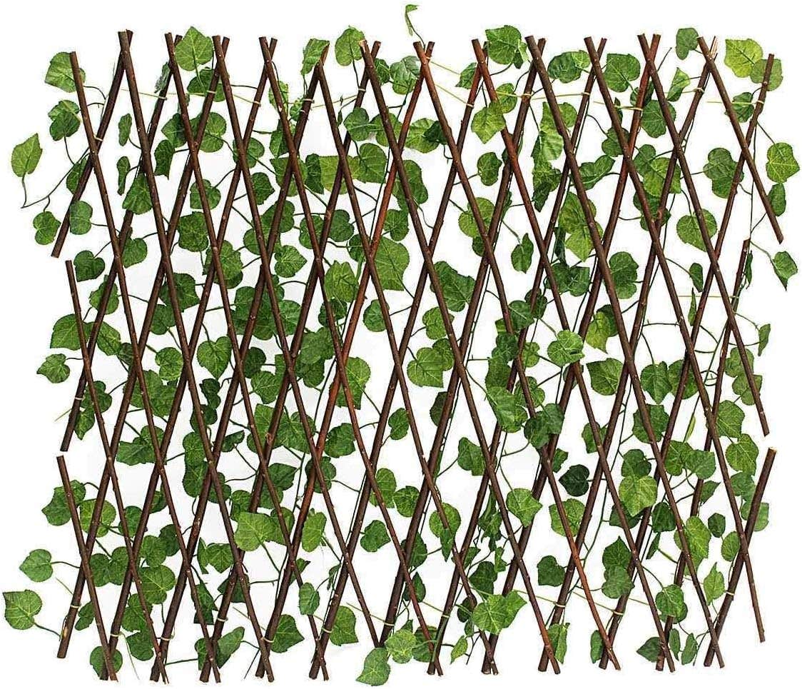Wall Curtain with 40% Persian Wood 200cm, Green)