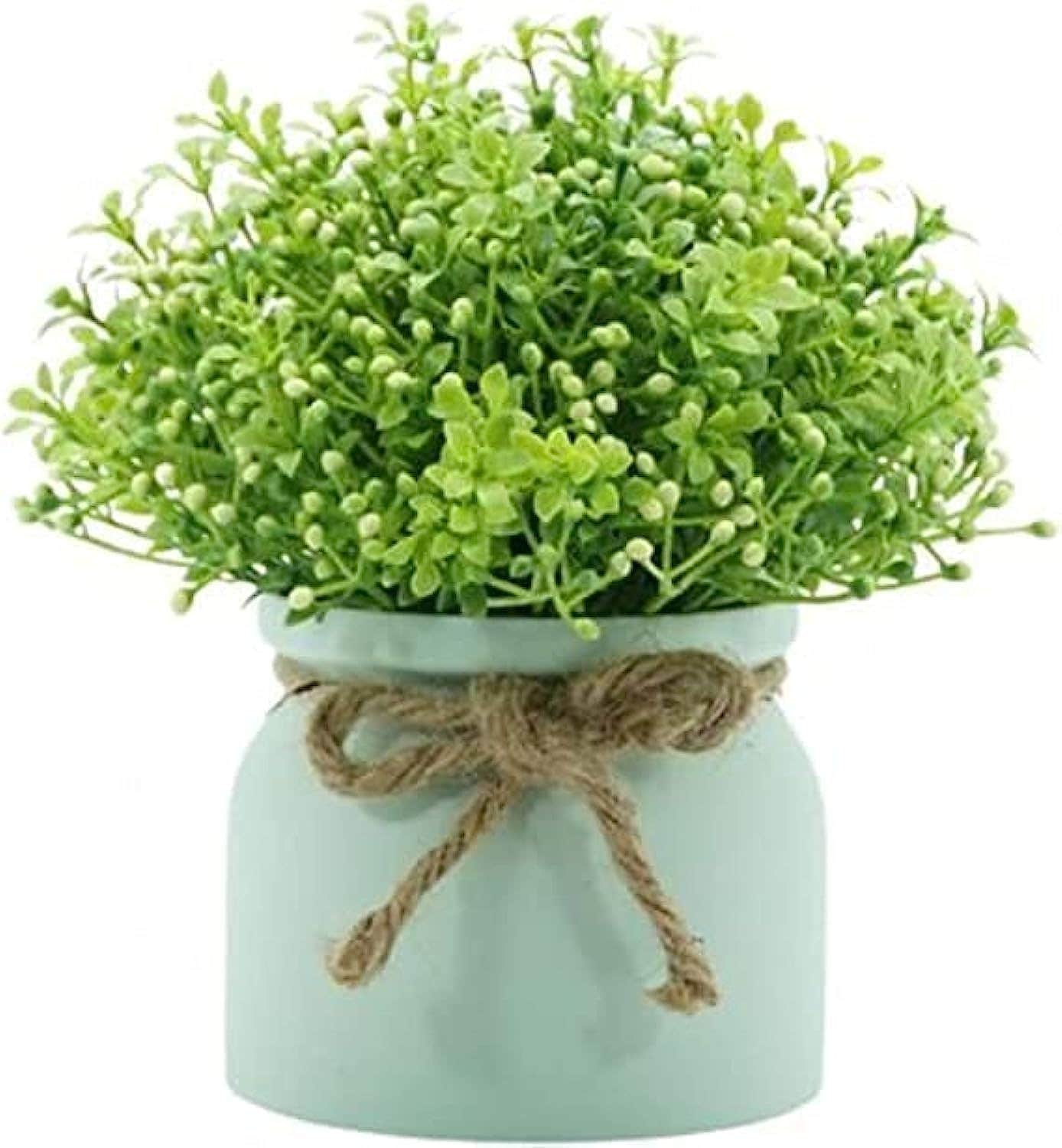 Vegetable Pottery Rose Vasse for Home and Office Decoration