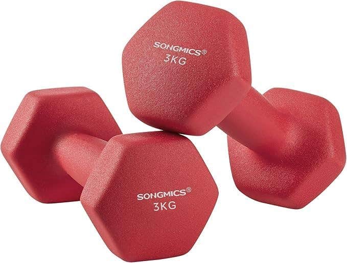 SONGMICS Set of 2 Dumbbells Weights Vinyl Coating Gym and Home Workouts Waterproof and Non-Slip with Matte Finish 2 x 3 kg SYL66RD