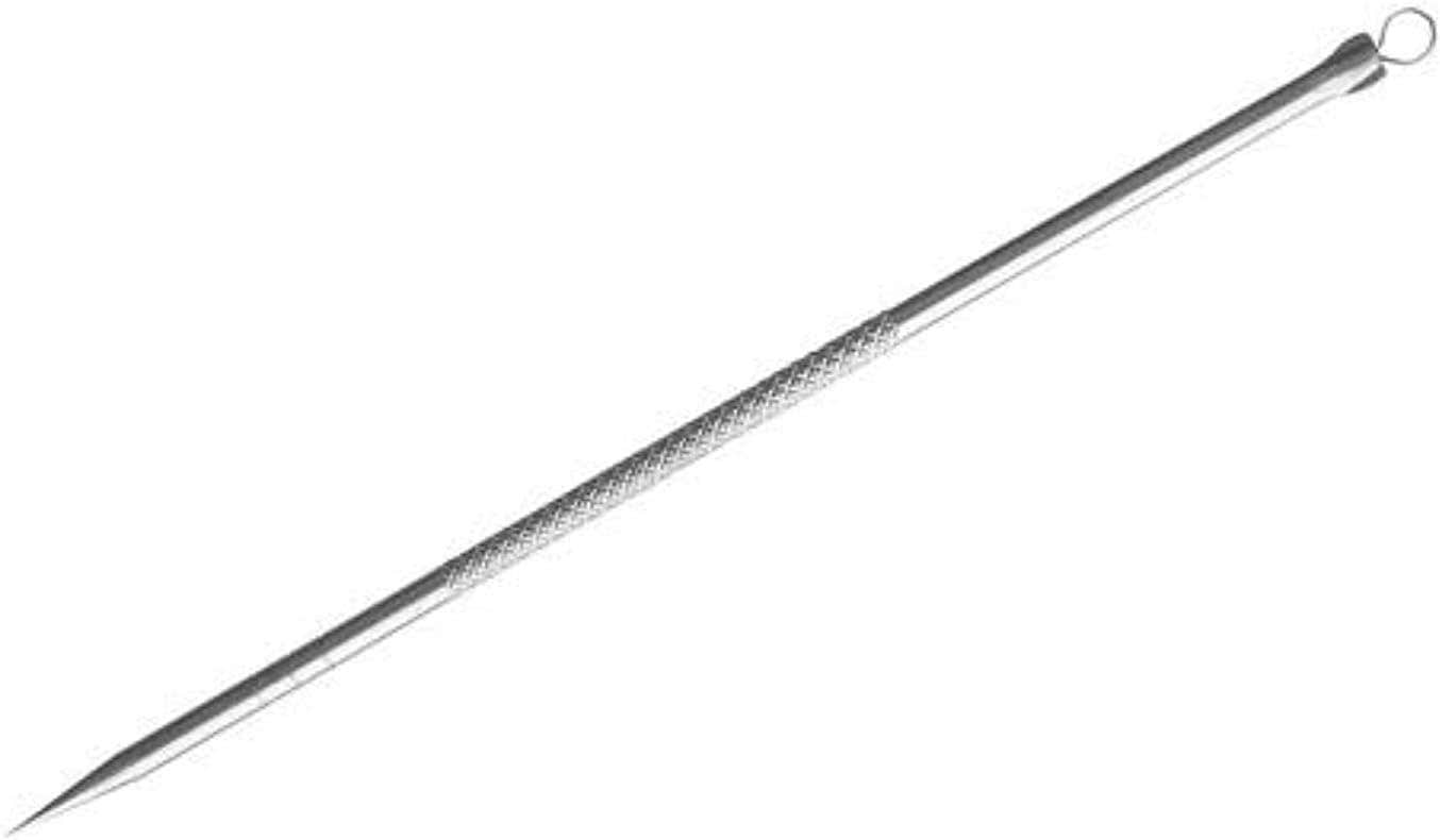 Stainless Steel Blackhead Remover