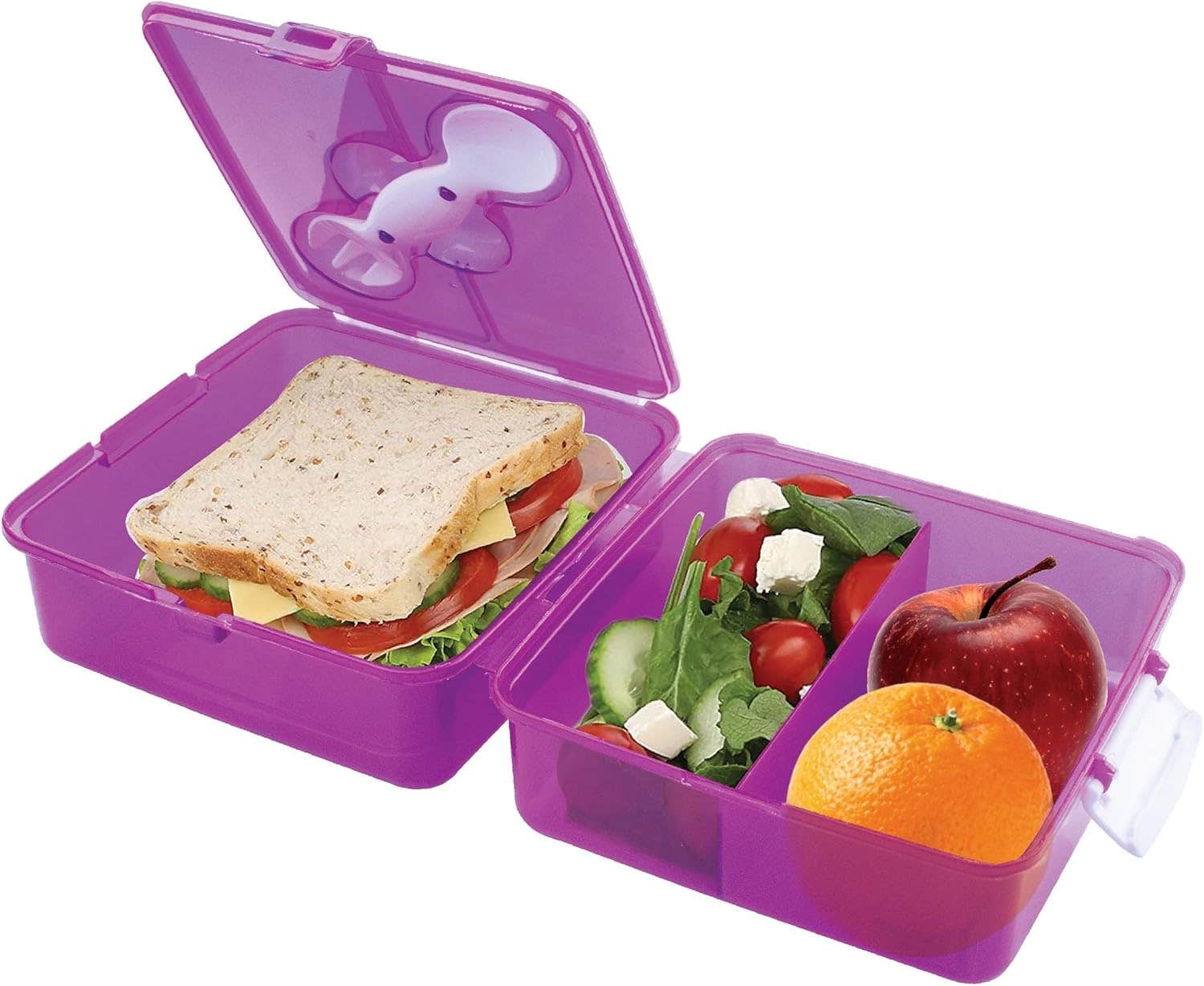 ELWATANIA Healthy Cube Lunch Box Purple Transparent