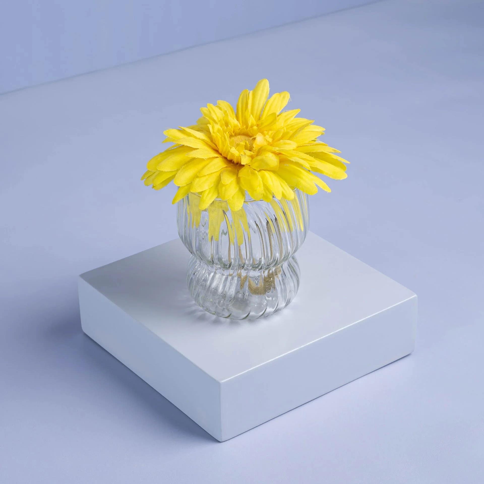 Elegant Small Blossom Vase - Clear Ribbed Glass Home Decor Piece