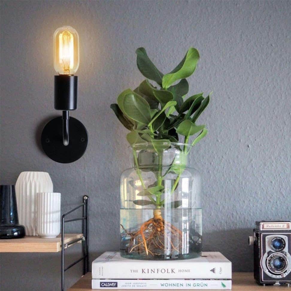 Generic Abalek Metal Black Light Fixture