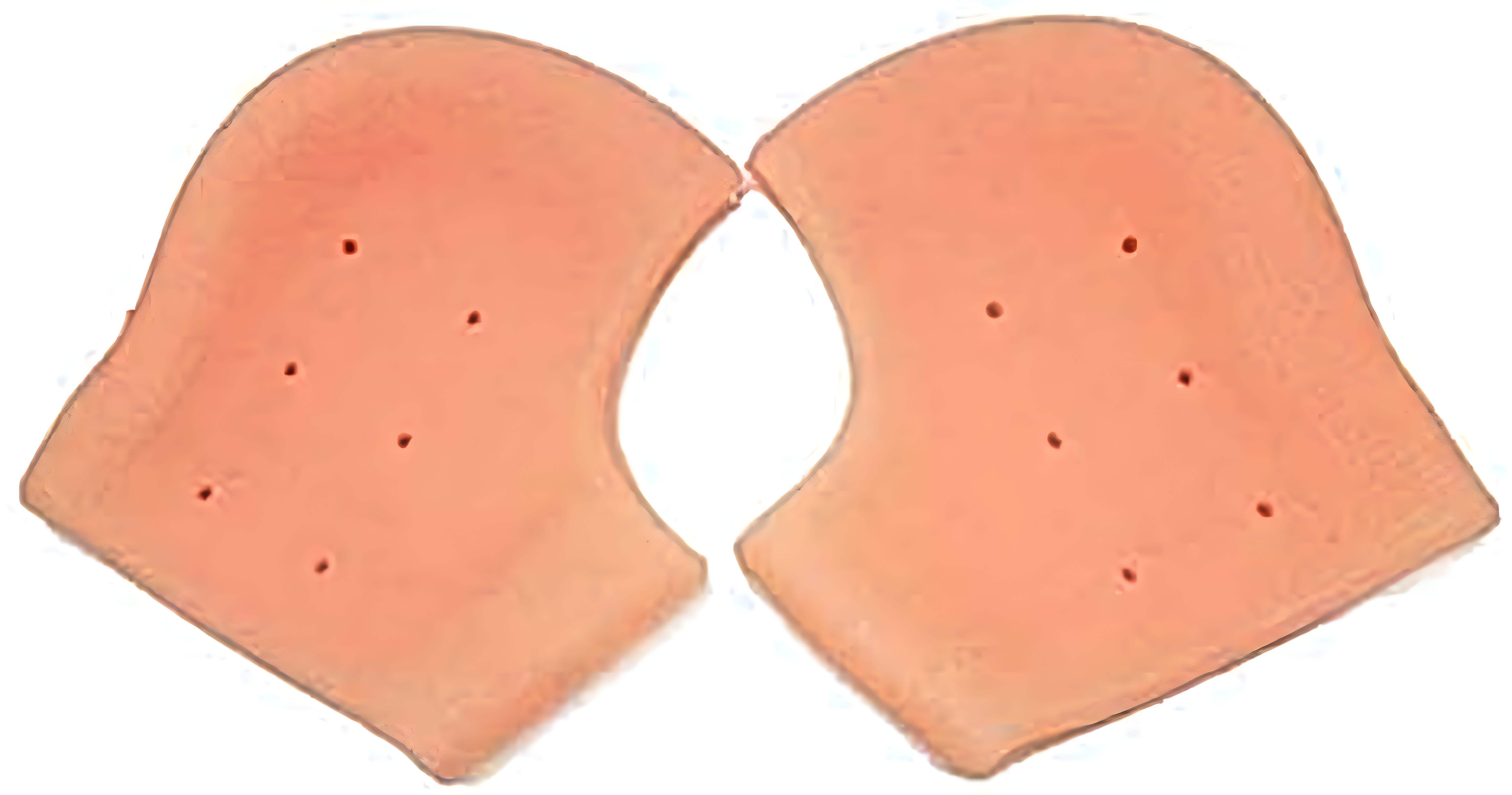 Spaceshoop Gel Heel Protectors - Rapid Pain Relief (1 Pair)