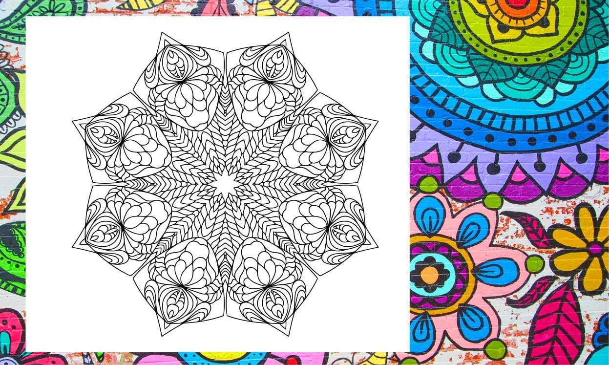 Mandala Coloring Chests Adult and Youth 12 Comfortable Painting Classic Graphic Nw 316