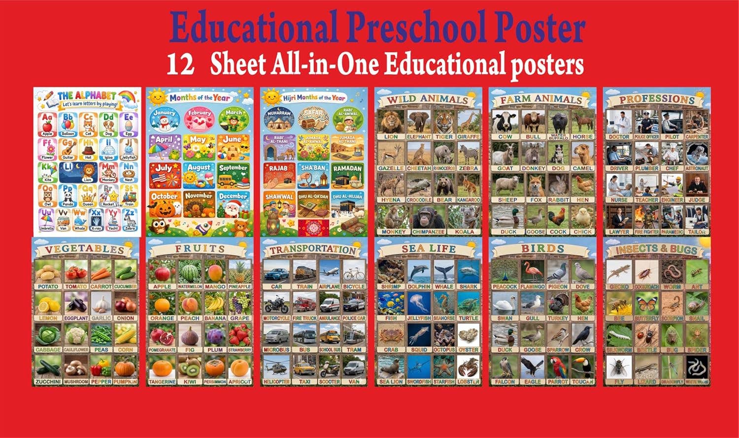Educational Alphabet Posters for Kids - 12 Classroom Decor Charts