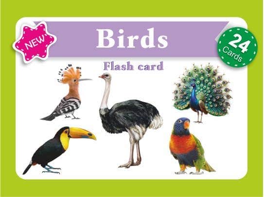 Flash Cards Educational Card " Birds " English Through 24 Of The Picture Cards .Nw 201