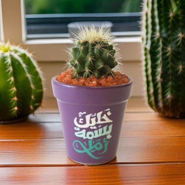 Decorative Mini Cactus Plant in Purple Ceramic Pot, Indoor Succulent with Arabic Design,