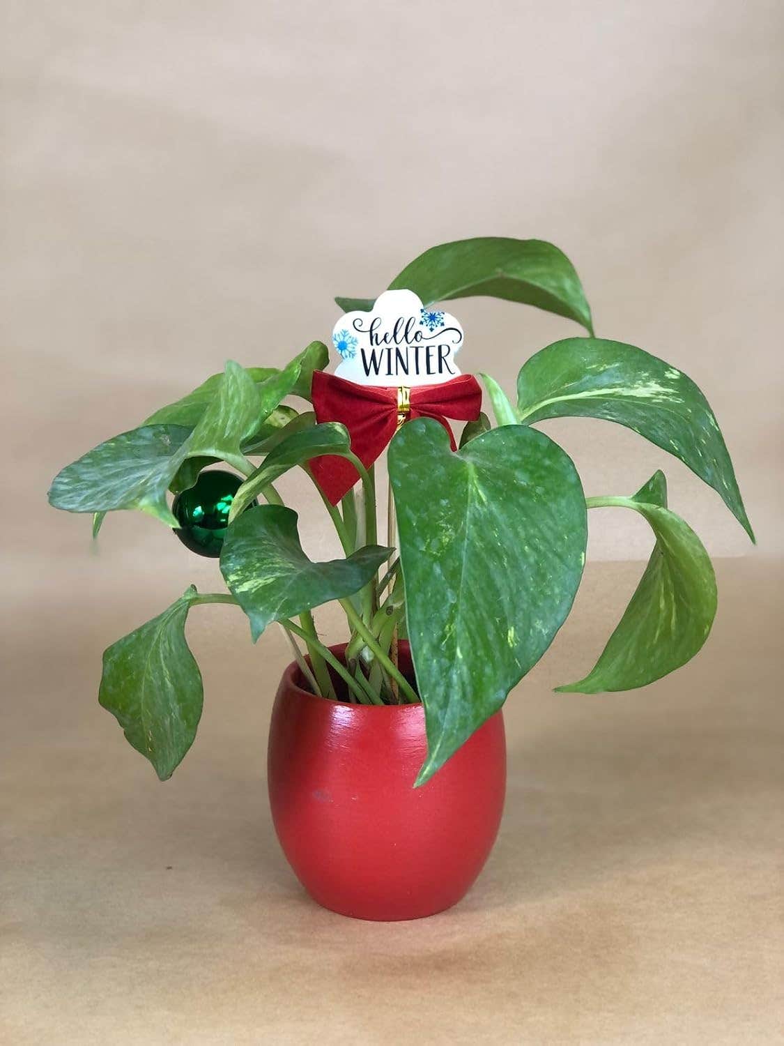 Hello Winter Plant Stake, Red Pot with Green Plant, Decorative Holiday Theme, Indoor Garden Decor