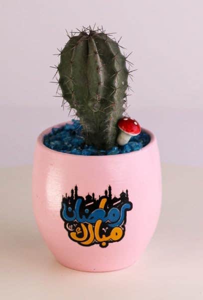 Cactus Plant in Pink Ceramic Pot with Blue Decorative Stones, Small Succulent with Mushroom Decoration