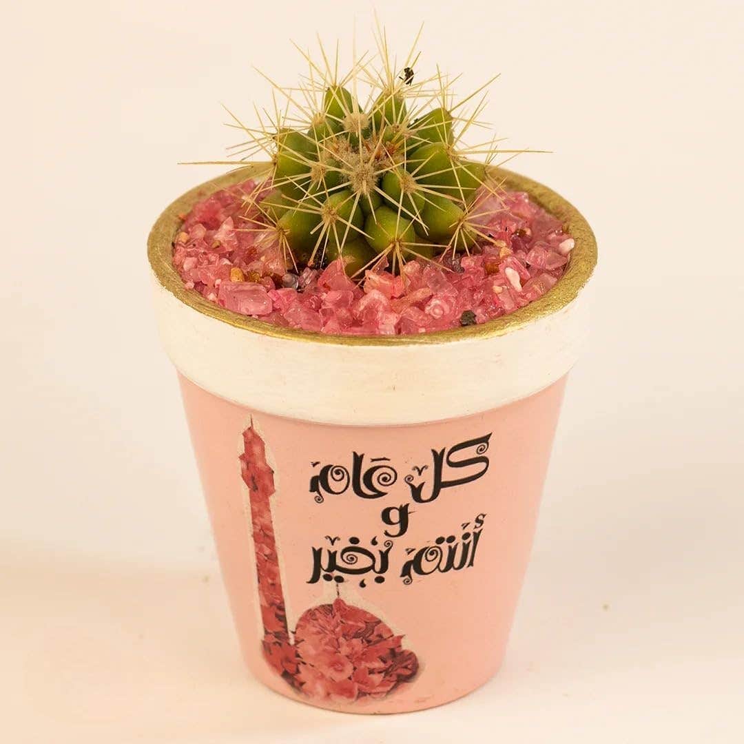 Decorative Mini Cactus Plant in Pink Pot with Pink Crystal Stones, Arabic Design