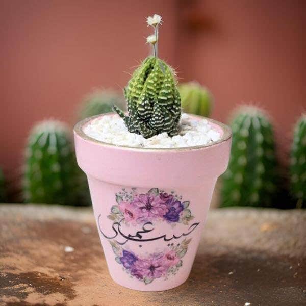 Decorative Succulent Planter Pot with Floral Design, Pink Ceramic, Small