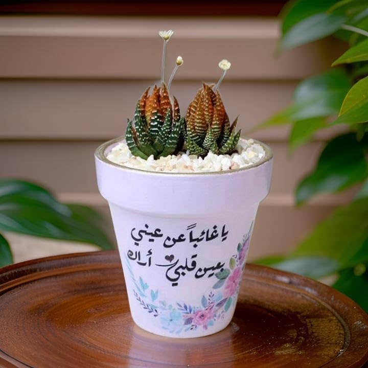 Decorative Arabic Calligraphy Ceramic Planter with Flowering Succulents, White Pot with Floral Design, 10 cm