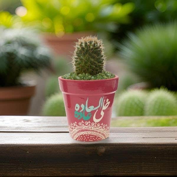 Decorative Mini Cactus Plant in Pink pottery Pot with Arabic Calligraphy Design