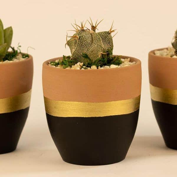 Decorative Ceramic Plant Pot with Gold Band, Black and Terracotta, Small Succulent Planter