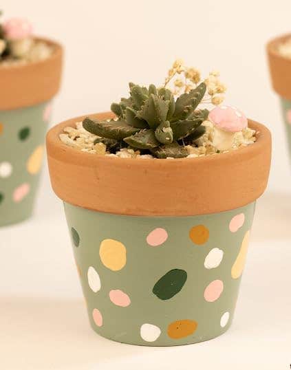 Hand-Painted Terracotta Planter Pot, Sage Green with Polka Dots