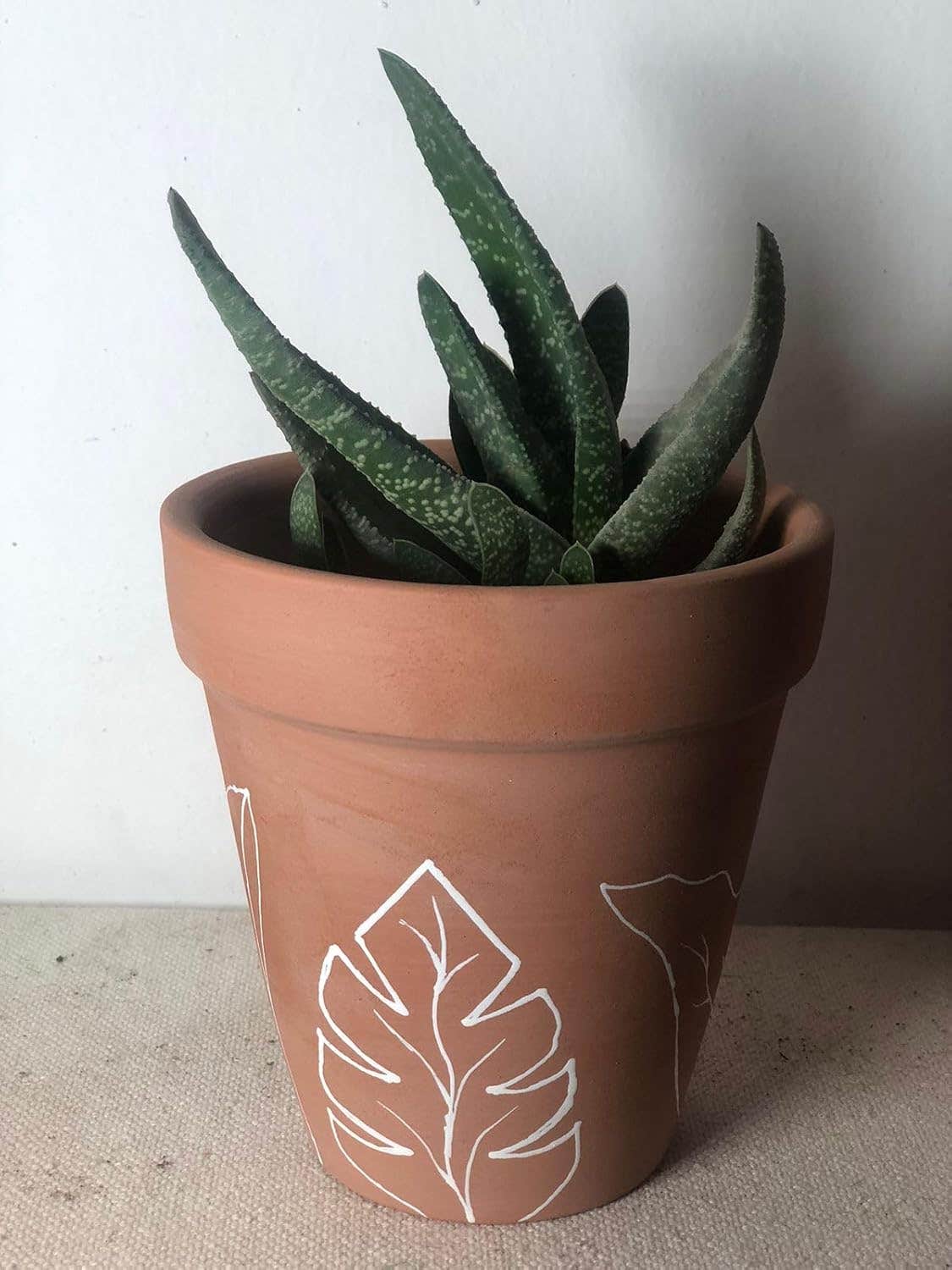 Terracotta Plant Pot with White Leaf Design, Decorative Clay Planter with Aloe Plant