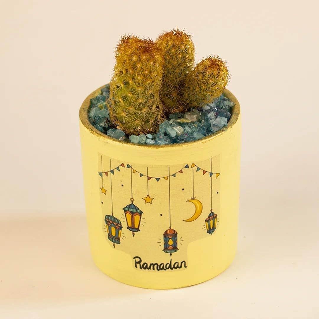 Ramadan Decorative Cactus Planter, Yellow pottery Pot with Lantern Design, Blue Crystal Rocks, gift, natural cactus, office
