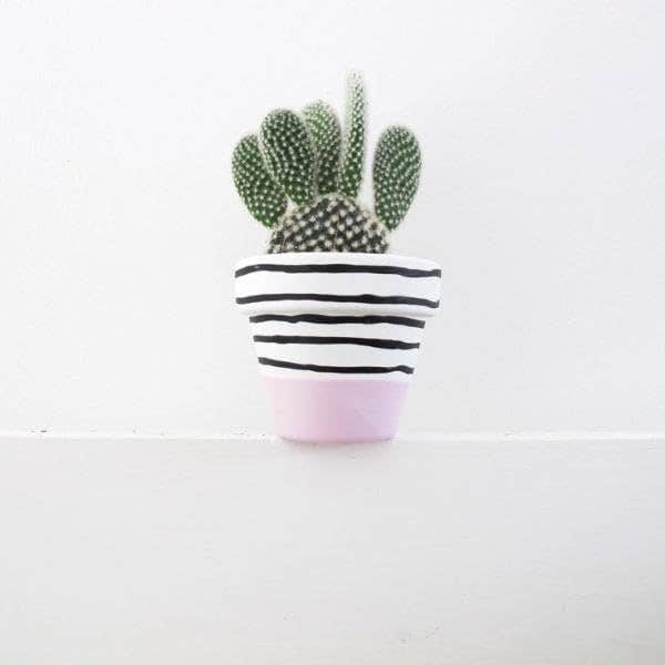 Modern Cactus Plant in Striped pottery Pot, White and Black Planter with Pink Base, Decorative Indoor Succulent