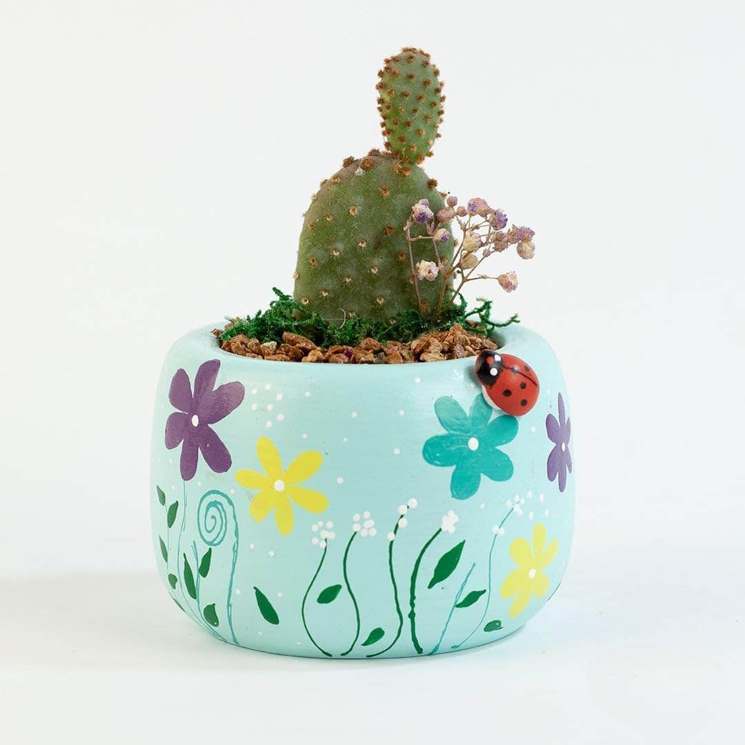 Funny Pot Decorative Cactus Planter, Mint Green Ceramic with Hand-Painted Flowers and Ladybird Design