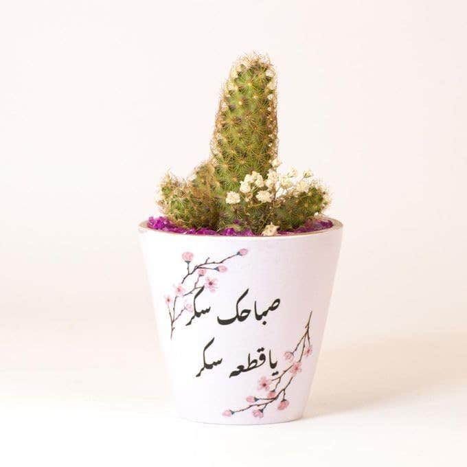 Cactus Plant in Arabic Calligraphy Printed pink Pot