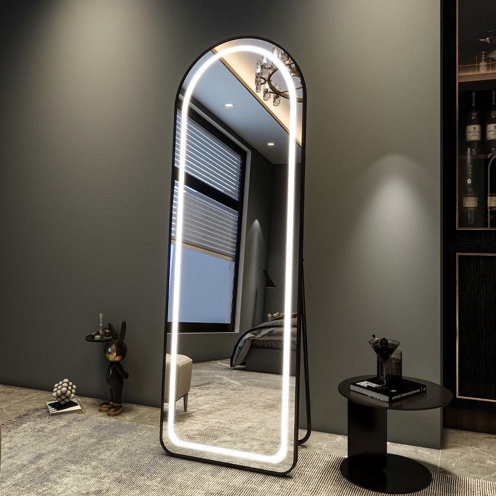 Lion Hose Modern Full Length Illuminated Touch Sensor Stand Mirror, 60 x 170 x 50 cm - Black Frame