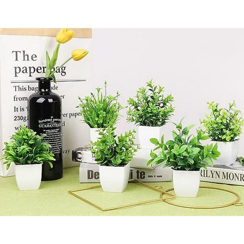 Plastic Planter, 6-piece, White Green